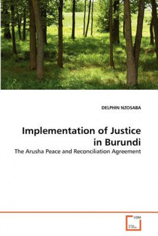 Könyv Implementation of Justice in Burundi Delphin Nzosaba