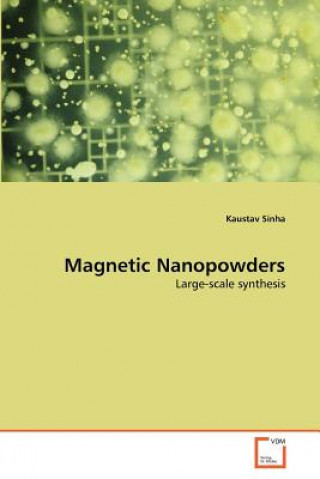 Kniha Magnetic Nanopowders Kaustav Sinha