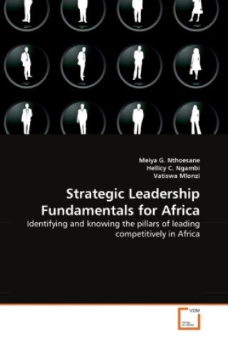 Kniha Strategic Leadership Fundamentals for Africa Meiya G. Nthoesane