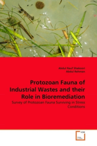 Kniha Protozoan Fauna of Industrial Wastes and their Role in Bioremediation Abdul Rauf Shakoori