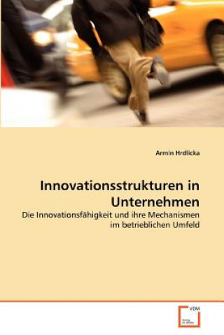 Kniha Innovationsstrukturen in Unternehmen Armin Hrdlicka
