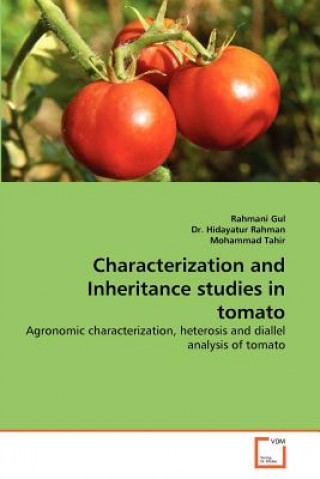 Książka Characterization and Inheritance studies in tomato Rahmani Gul