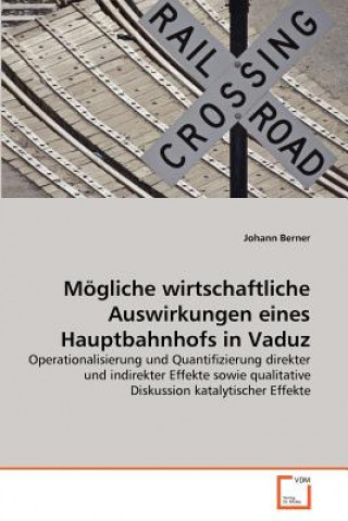 Kniha Moegliche wirtschaftliche Auswirkungen eines Hauptbahnhofs in Vaduz Johann Berner