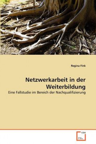 Könyv Netzwerkarbeit in der Weiterbildung Regina Fink