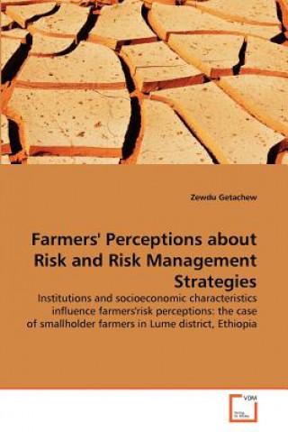 Kniha Farmers' Perceptions about Risk and Risk Management Strategies Zewdu Getachew