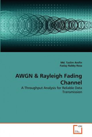 Carte AWGN & Rayleigh Fading Channel Md. Taslim Arefin