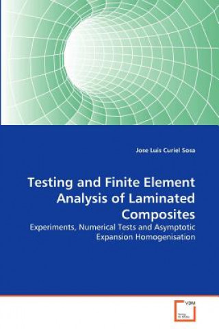 Könyv Testing and Finite Element Analysis of Laminated Composites Jose Luis Curiel Sosa