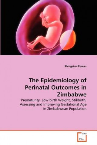 Book Epidemiology of Perinatal Outcomes in Zimbabwe Shingairai Feresu