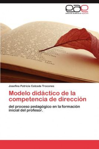 Carte Modelo didactico de la competencia de direccion Josefina Patricia Calzada Trocones