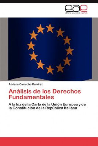Книга Analisis de Los Derechos Fundamentales Adriana Camacho Ramírez