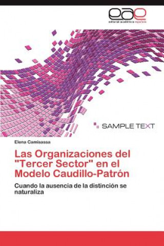 Книга Organizaciones del Tercer Sector En El Modelo Caudillo-Patron Elena Camisassa