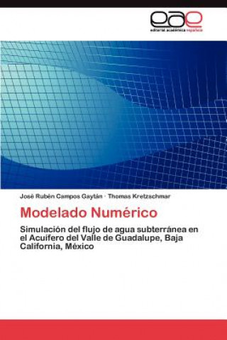 Carte Modelado Numerico José Rubén Campos Gaytán