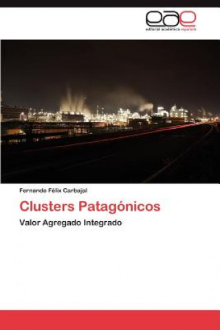 Книга Clusters Patagonicos Fernando Félix Carbajal