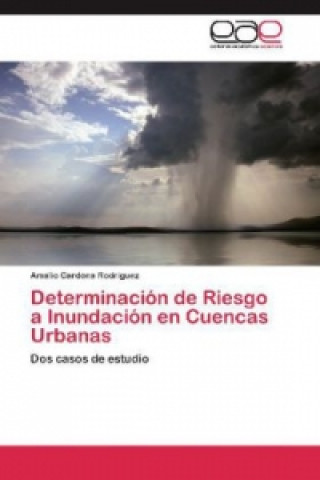 Book Determinación de Riesgo a Inundación en Cuencas Urbanas Amalio Cardona Rodríguez
