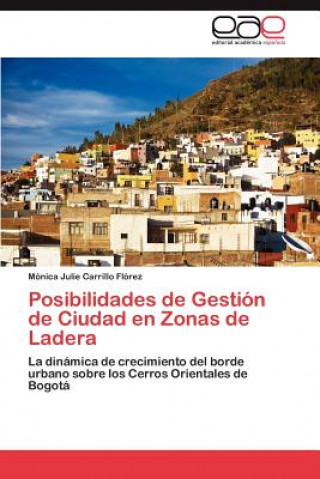 Könyv Posibilidades de Gestion de Ciudad en Zonas de Ladera Mónica Julie Carrillo Flórez