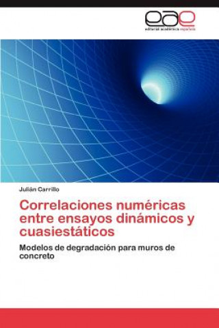 Книга Correlaciones Numericas Entre Ensayos Dinamicos y Cuasiestaticos Julián Carrillo