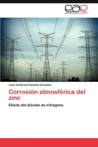 Kniha Corrosion atmosferica del zinc Castano Gonzalez Juan Guillermo