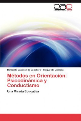 Buch Metodos En Orientacion Heriberta Castejón de Caballero