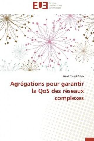 Könyv Agr gations Pour Garantir La Qos Des R seaux Complexes Hind Castel-Taleb