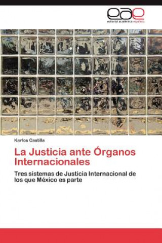 Kniha Justicia Ante Organos Internacionales Karlos Castilla