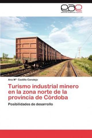 Könyv Turismo Industrial Minero En La Zona Norte de La Provincia de Cordoba Ana Maria Castillo Canalejo