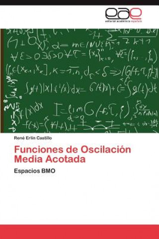 Könyv Funciones de Oscilacion Media Acotada Castillo Rene Erlin