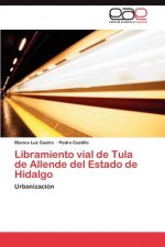 Könyv Libramiento vial de Tula de Allende del Estado de Hidalgo Blanca Luz Castro
