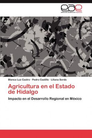 Kniha Agricultura En El Estado de Hidalgo Blanca Luz Castro
