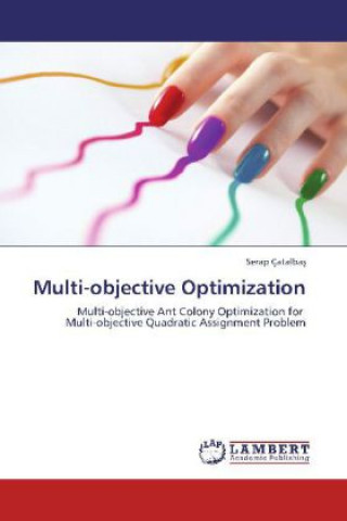 Knjiga Multi-objective Optimization Serap Çatalbas