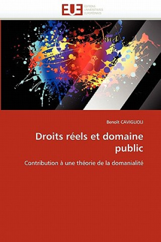Könyv Droits R els Et Domaine Public Benoît Caviglioli