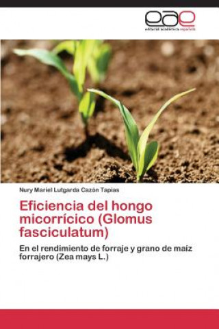 Kniha Eficiencia del hongo micorricico (Glomus fasciculatum) Nury Mariel Lutgarda Cazón Tapias