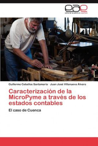 Carte Caracterizacion de La Micropyme a Traves de Los Estados Contables Guillermo Ceballos Santamaría