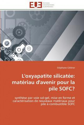 Kniha L'Oxyapatite Silicat e Stéphane Célérier