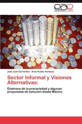 Buch Sector Informal y Visiones Alternativas José Juan Cervantes