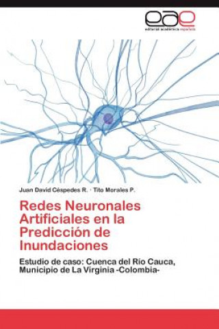 Könyv Redes Neuronales Artificiales en la Prediccion de Inundaciones Juan David Céspedes R.