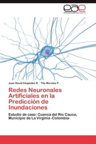 Książka Redes Neuronales Artificiales en la Prediccion de Inundaciones Juan David Céspedes R.