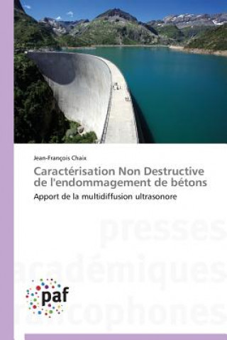 Libro Caracterisation Non Destructive de l'Endommagement de Betons Jean-François Chaix