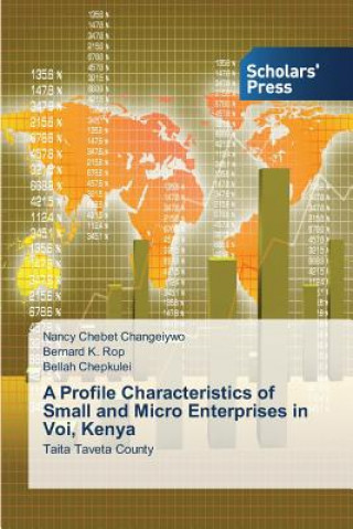 Carte Profile Characteristics of Small and Micro Enterprises in Voi, Kenya Nancy Chebet Changeiywo