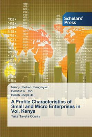 Kniha Profile Characteristics of Small and Micro Enterprises in Voi, Kenya Nancy Chebet Changeiywo