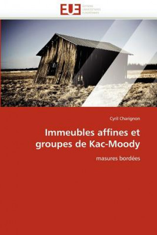 Könyv Immeubles Affines Et Groupes de Kac-Moody Cyril Charignon