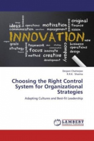 Kniha Choosing the Right Control System for Organizational Strategies Devjani Chatterjee