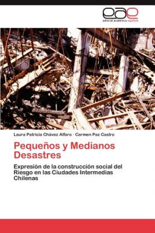 Carte Pequenos y Medianos Desastres Laura Patricia Chávez Alfaro