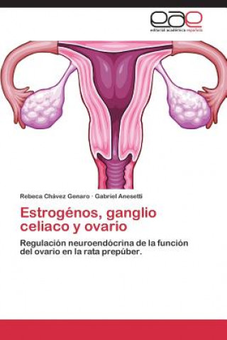 Könyv Estrogenos, ganglio celiaco y ovario Rebeca Chávez Genaro