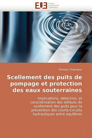 Kniha Scellement Des Puits de Pompage Et Protection Des Eaux Souterraines Romain Chesnaux