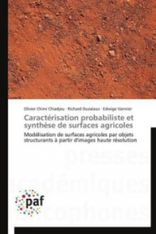 Kniha Caractérisation probabiliste et synthèse de surfaces agricoles Olivier Chimi Chiadjeu