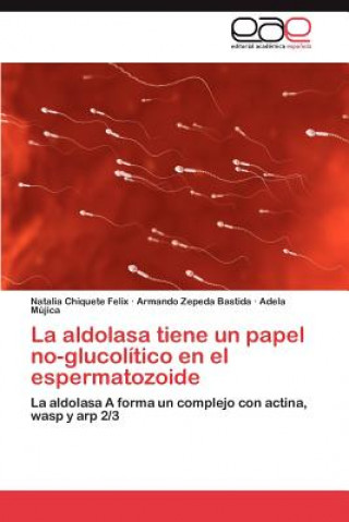 Könyv Aldolasa Tiene Un Papel No-Glucolitico En El Espermatozoide Natalia Chiquete Felix