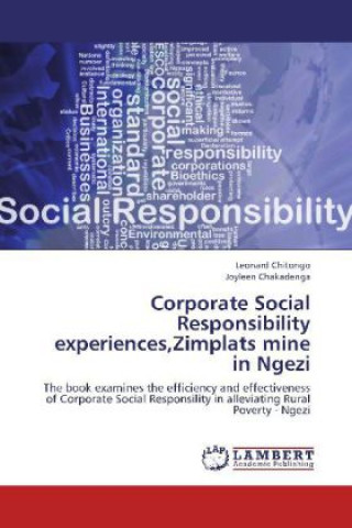 Kniha Corporate Social Responsibility experiences,Zimplats mine in Ngezi Leonard Chitongo