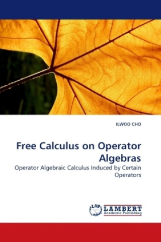 Kniha Free Calculus on Operator Algebras Ilwoo Cho