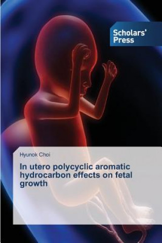 Könyv In utero polycyclic aromatic hydrocarbon effects on fetal growth Hyunok Choi