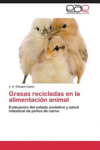 Buch Grasas recicladas en la alimentacion animal J.  A. Choque-López